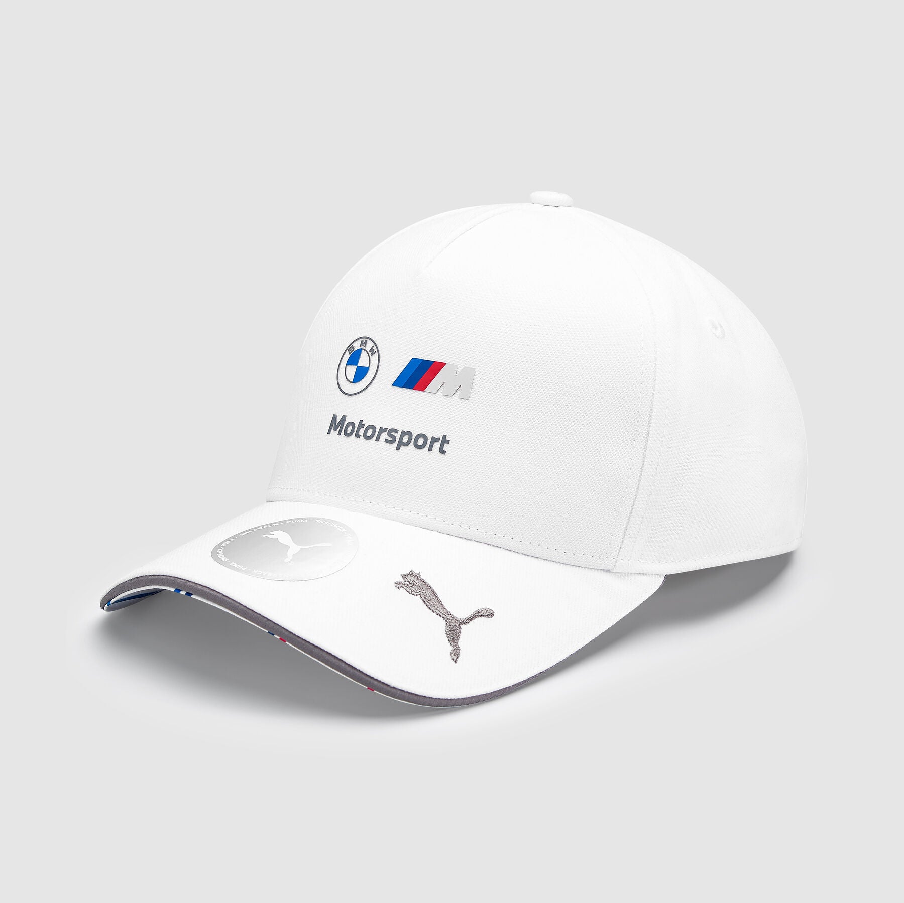 BMW Motorsport Team Cap