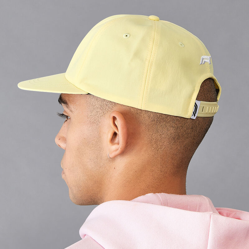 F1 Collection RDW Cap