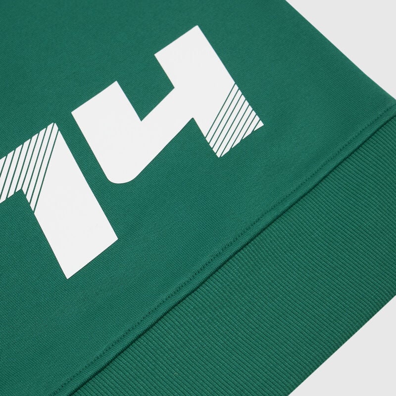 Aston Martin F1 Team Kimoa Alonso Logo Sweatshirt