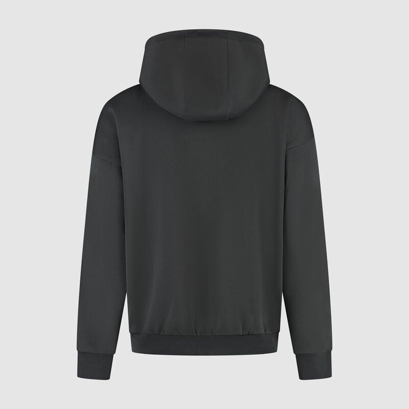 F1 Collection Heritage Graphic Hoodie