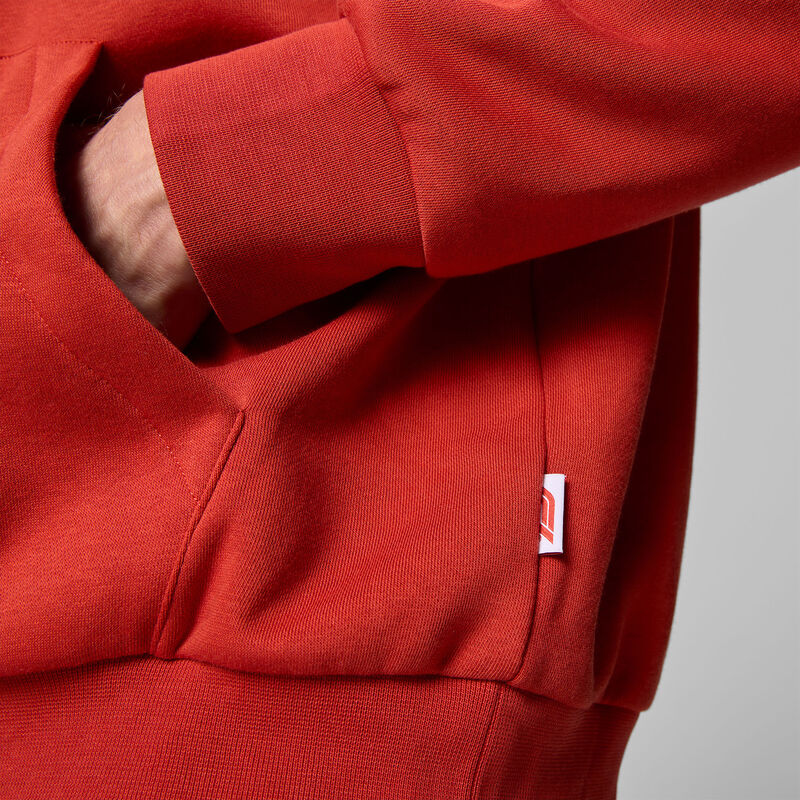 F1 Collection Heritage Graphic Hoodie