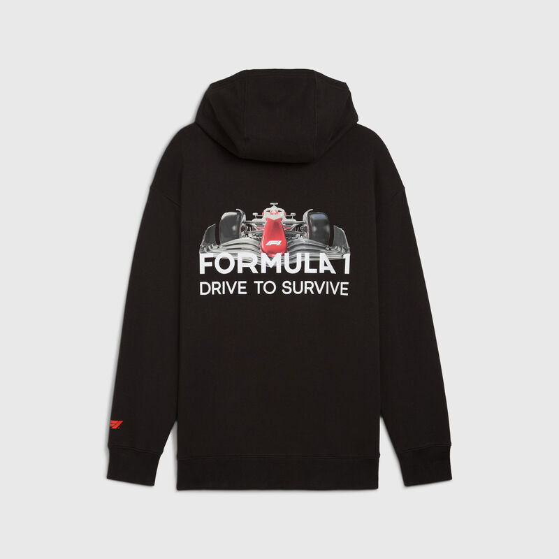F1 Collection PUMA F1® DTS Relaxed Hoodie