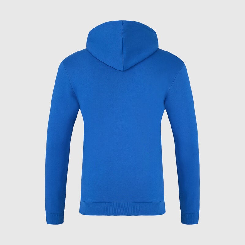 Alpine F1 Logo Hoodie