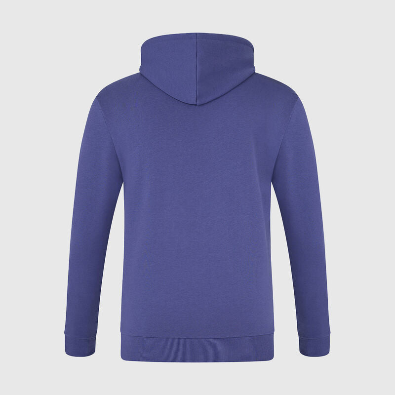 Red Bull Racing Logo Hoodie