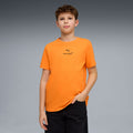 McLaren Racing PUMA Kids Small Logo T-shirt