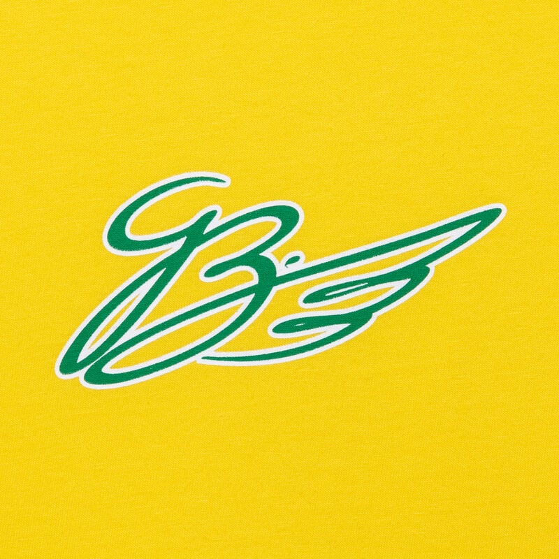 Stake F1 Team Kick Sauber 2025 Gabriel Bortoleto Brazil T-shirt